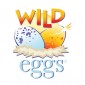 Wild Eggs