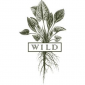 Wild
