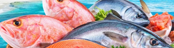 Fresh Fish Delivery