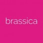 Brassica at Keystone - KeyX